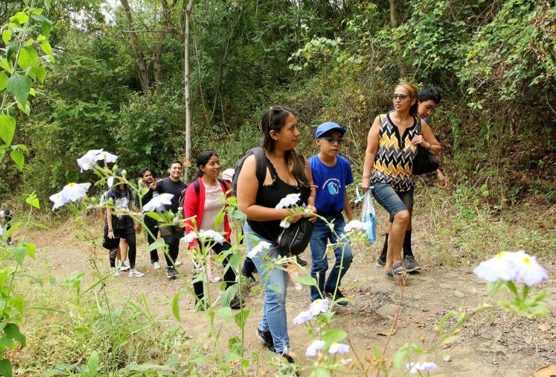 Imagen 23